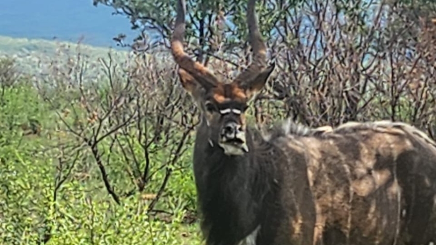 0 Bedroom Property for Sale in Rustenburg Rural North West